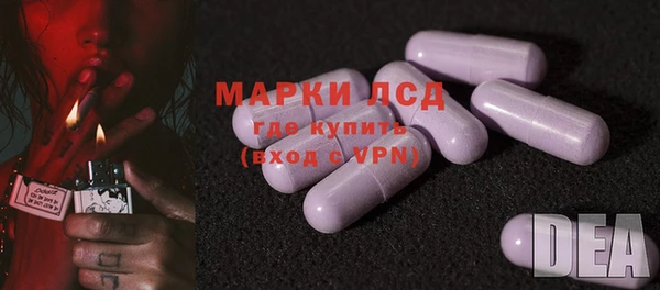 ПСИЛОЦИБИНОВЫЕ ГРИБЫ Краснотурьинск