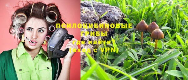 ПСИЛОЦИБИНОВЫЕ ГРИБЫ Краснотурьинск