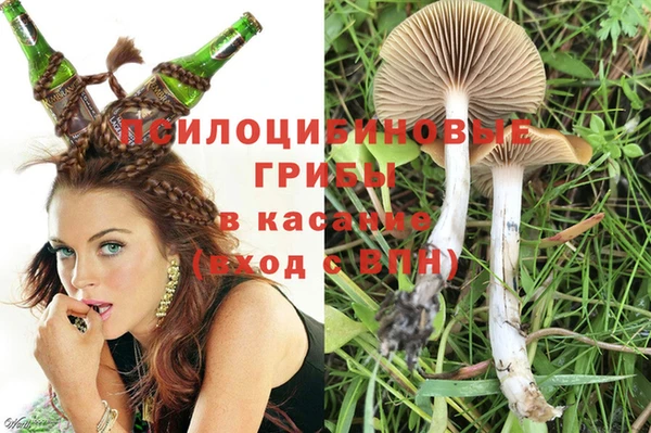 ALPHA PVP Костерёво