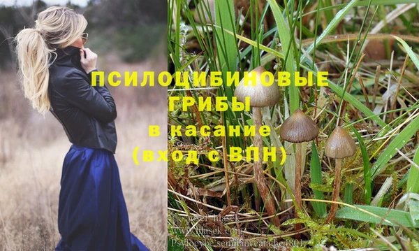 шишки Красноперекопск