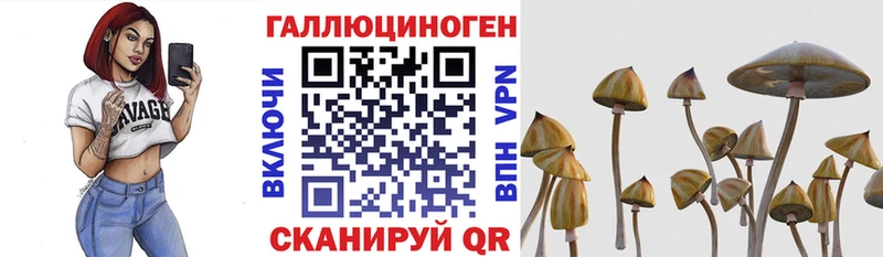 Купить  Барабинск  Псилоцибиновые грибы мицелий 